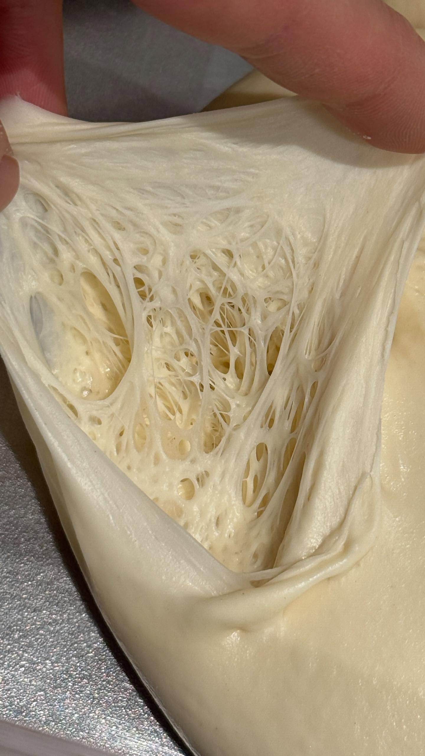 숨쉬는 노아이디어피자 도우 1